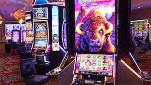 6500bet